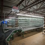 Golfsmith-1433
